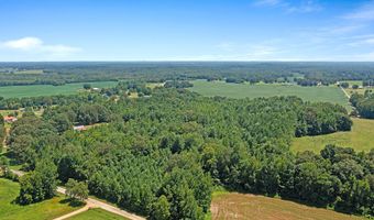 0 Cotton Grove Rd, Beech Bluff, TN 38313