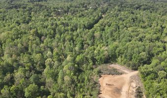 Anding Oil City Road, Bentonia, MS 39040