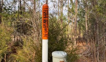 Cunningham Road, Bradley, SC 29819