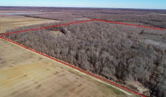 6075 Curtis Rd, Batesville, MS 38606