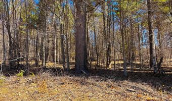 TM 407 L 35 Shem Valley Road, Alexandria, NH 03222