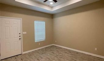 1008 W Kohala Ave, Alton, TX 78574
