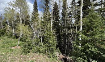 695 W Hunter Ridge Rd, Brian Head, UT 84719