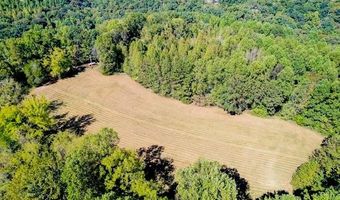 Bolestown Loop Lot 4, Alpine, TN 38543