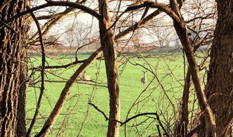 0002 CR-290, Asbury, MO 64832
