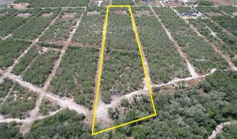 195 CR 1461 Lot 8, Alice, TX 78332