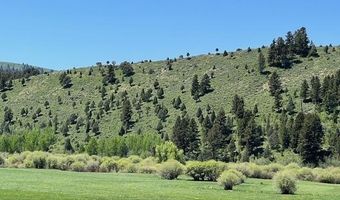 5002 FAIRVIEW SPG CRK Rd, Afton, WY 83110