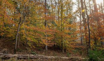 217 W Chapman Rd, Belton, SC 29627