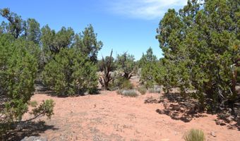 82 5020, Concho, AZ 85924