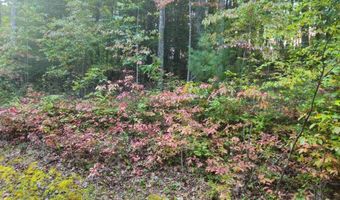 Fox Hollow Dr lot 17, Bastian, VA 24314