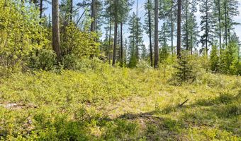 258 Trading Post Trl, Bigfork, MT 59911