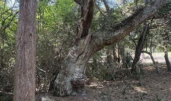 222 N Bald Head Lot 831, Bald Head Island, NC 28461