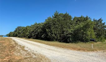FM 1655 Trail, Alvord, TX 76225