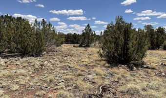 425 N 8051, Concho, AZ 85924