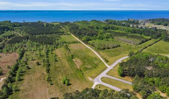 Burton Farm Road, Arapahoe, NC 28510
