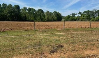 2905 Donald Cobb Rd, Bartow, GA 30413