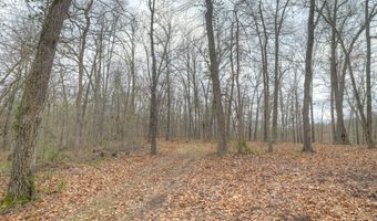 Tract 2 8.45 acres Wilderness Way, Anderson, MO 64831