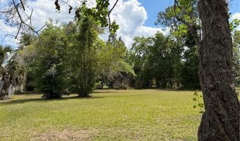 24138 PANTHER Rd, Astor, FL 32102