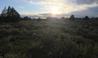 TBD 40 AC Arcadia Road, Ashton, ID 83440
