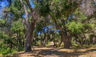 40 Tenaja Road Acres, Fallbrook, CA 92028