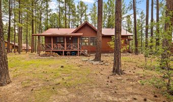 4 County Road 2089, Alpine, AZ 85920