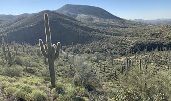 42000 N Fleming Springs Rd P, Cave Creek, AZ 85331
