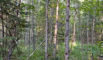 County Road Y, Aniwa, WI 54408