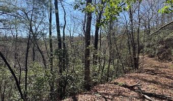000 Holland Farm Rd, Andrews, NC 28901