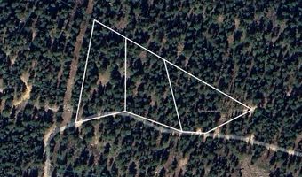 County Road 84 W, Allenspark, CO 80510