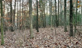 0 PEBBLE CREEK # 7 Ln, Alto, GA 30510