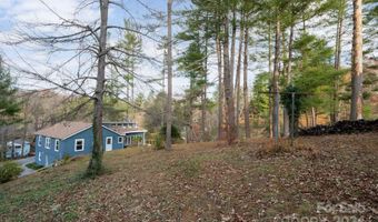 11 Spring Cove Rd, Asheville, NC 28804