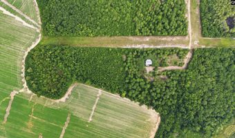 1634 Huttos Chapel, Barnwell, SC 29812