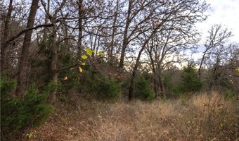 Tract 1 Acme RD, Asher, OK 74826