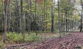 002 Duck Pond Rd Lot #2, Barton, VT 05822