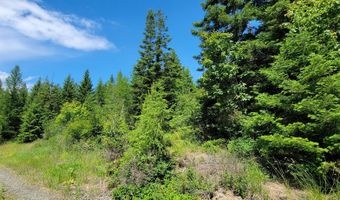 Bootlegger Lane- Parcel 1, Bonners Ferry, ID 83805