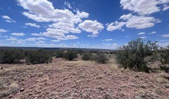 41 Indian Drive CR 8062, Concho, AZ 85924
