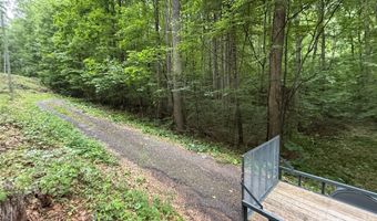 9999 Countryside Est, Barnardsville, NC 28709