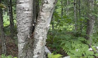 961 Maple St, Bethlehem, NH 03574