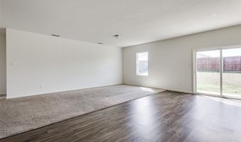 821 Cherry Blossom St, Anna, TX 75409