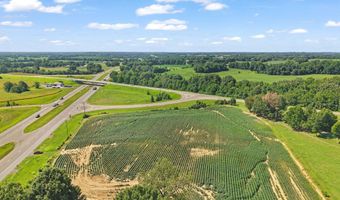 2966 N U.S. 412, Alamo, TN 38001