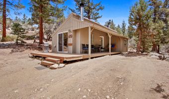 43630 Rainbow Ln, Angelus Oaks, CA 92305