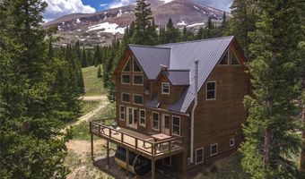 62 Lazy Rex Rd, Alma, CO 80440
