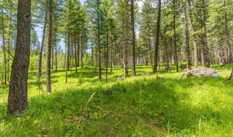 510 Swan Hill Rd, Bigfork, MT 59911