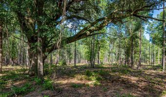221 Ac Crestview Rd, Arlington, GA 39813
