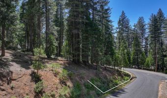 1934 Almaden Dr, Arnold, CA 95223