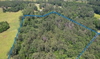 Dixon Ln SE, Bogue Chitto, MS 39629