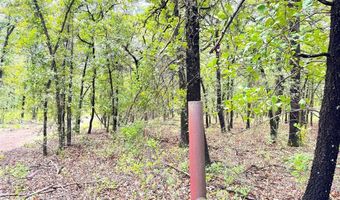 Tbd Dude Lane, Millsap, TX 76066