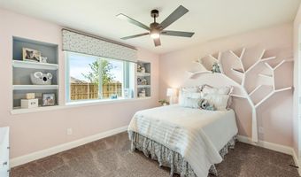 805 Twin Pine Ct, Anna, TX 75409