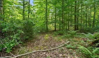 1125 39th St, Allegan, MI 49010