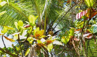 Keanae Rd, Hana, HI 96708